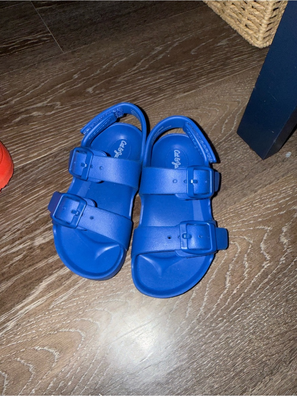Cat & Jack Bright Blue Kids' Double Buckle Sandals